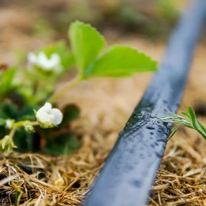 Kvapkové zavlažovanie - efektívna a udržateľná starostlivosť o rastliny