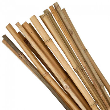 Bambusová tyč 150cm, hrúbka 12-14 mm