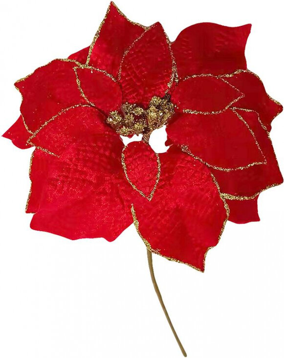 Kvet Poinssetia, červená, stonka, bal. 6 ks