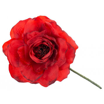 Pivónia, červená, stonka, veľkosť kvetu: 16 cm, dĺžka kvetu: 24 cm, bal. 6 ks