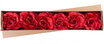 Pivónia, červená, stonka, veľkosť kvetu: 16 cm, dĺžka kvetu: 24 cm, bal. 6 ks