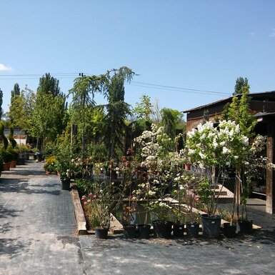 Záhradníctvo Nitra