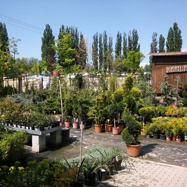 Záhradníctvo Nitra