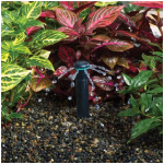 Bubbler tryska Hunter MSBN-10F