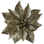 GlitterPoinsettia, so štipcom, šampaň, veľkosť kvetu: 9 cm