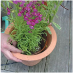 Mikrokvapkovacie potrubie RB Dripline 3l, 15cm (30m)