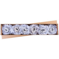 Pivónia, modro-sivá, stonka, veľkosť kvetu: 16 cm, dĺžka kvetu: 24 cm, bal. 6 ks