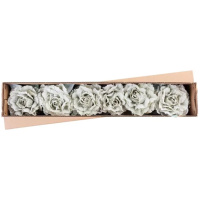 Pivónia s listom, svetlozelená, stonka, veľkosť kvetu: 12 cm, dĺžka kvetu: 23 cm, bal. 6 ks