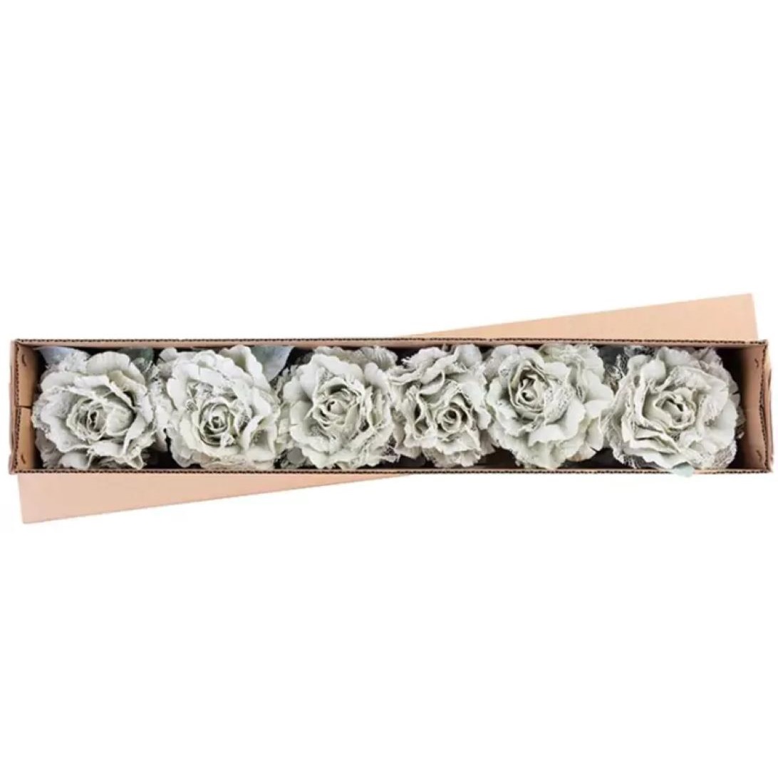 Pivónia s listom, svetlozelená, stonka, veľkosť kvetu: 12 cm, dĺžka kvetu: 23 cm, bal. 6 ks
