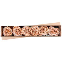 Pivónia s listom, zlatá, stonka, veľkosť kvetu: 12 cm, dĺžka kvetu: 23 cm, bal. 6 ks