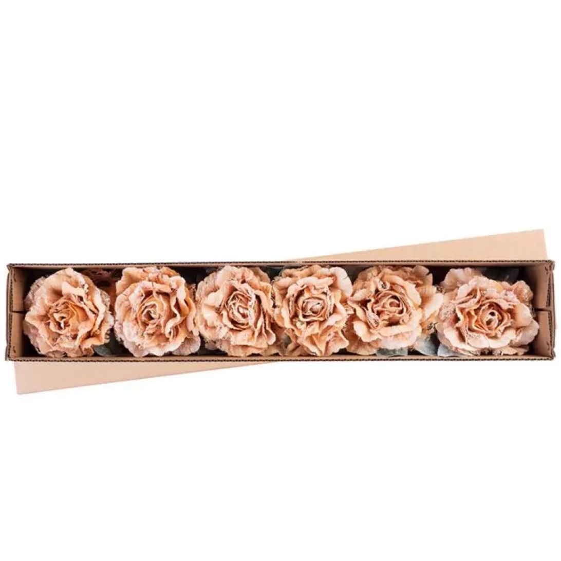 Pivónia s listom, zlatá, stonka, veľkosť kvetu: 12 cm, dĺžka kvetu: 23 cm, bal. 6 ks