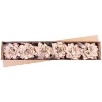 Pivónia, so stuhou, béžová, stonka, veľkosť kvetu: 17 cm, dĺžka kvetu: 37 cm, bal. 6 ks