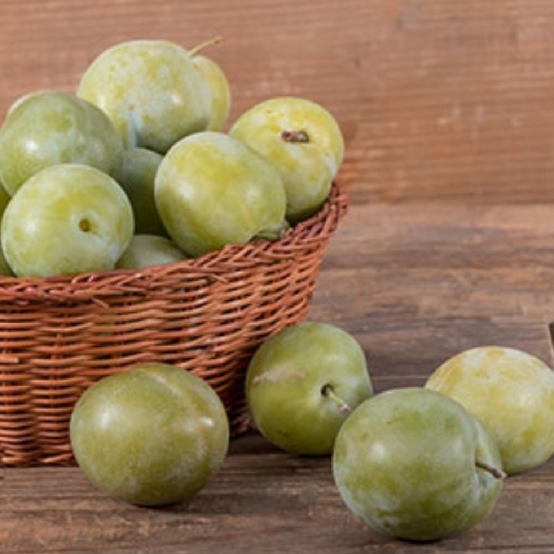 Ringlóta voľnokorenná – ZELENÁ RINGLÓTA