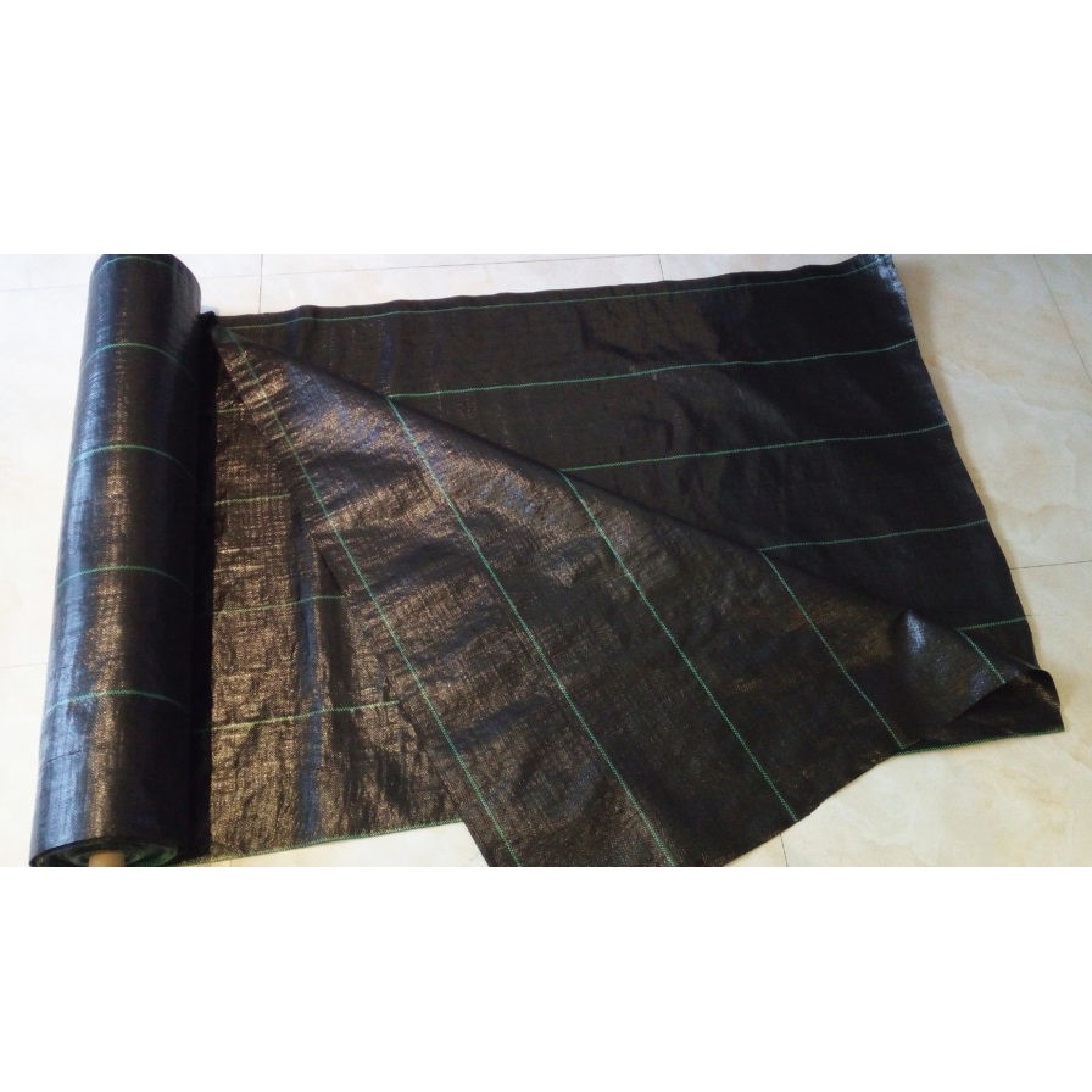 Tkaná mulčovacia textília 1,6 x 50 m, 100 g/m2