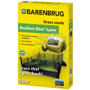 Trávna zmes BARENBRUG RESILIENT BLUE LAWN 1 kg