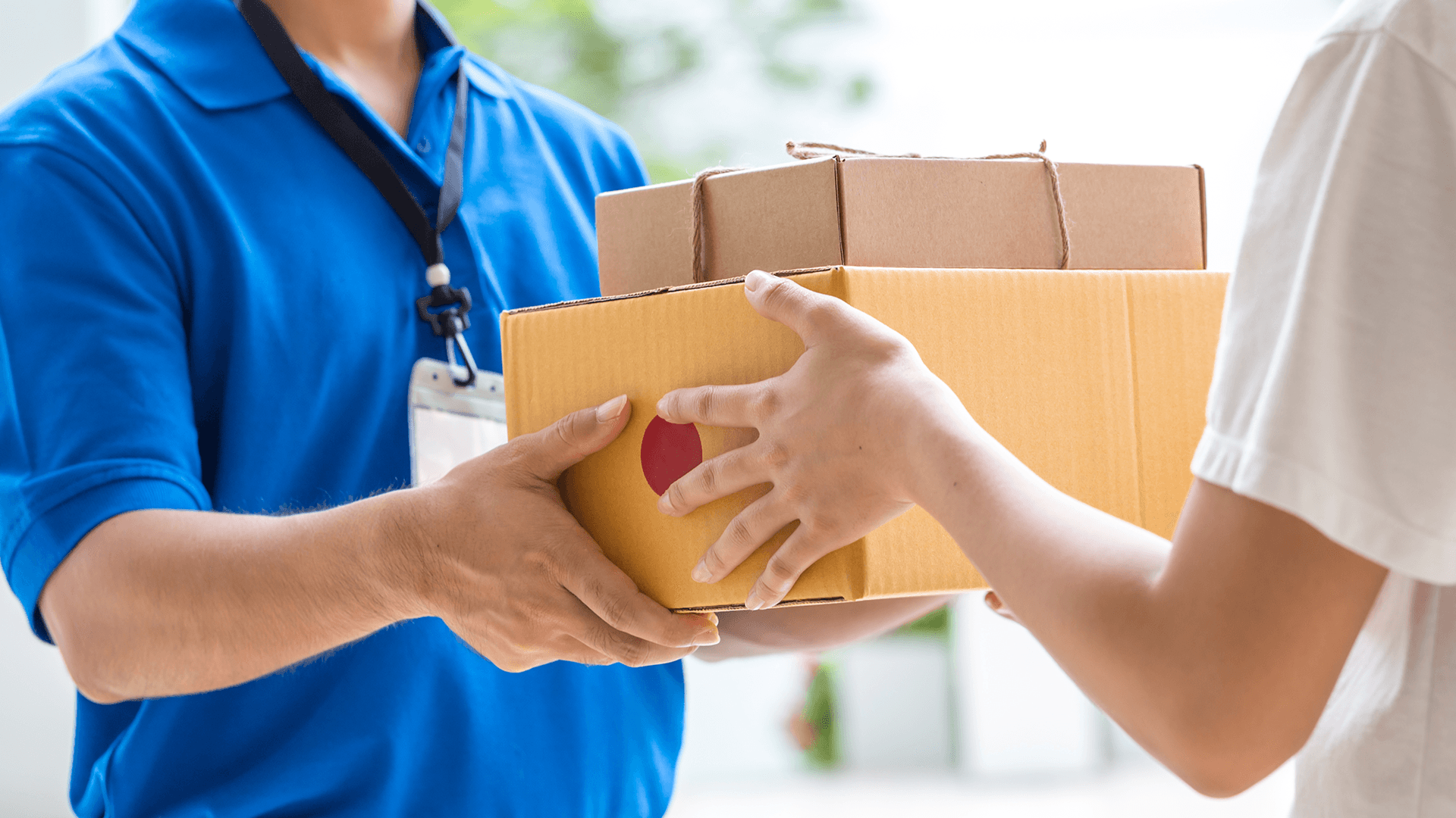 Logistika a expedícia