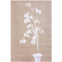 Vetvička MoneyPlant.White, biela, 56×107 cm