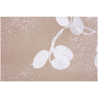 Vetvička MoneyPlant.White, biela, 56×107 cm
