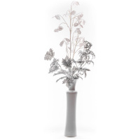 Vetvička MoneyPlant.White, biela, 56×107 cm