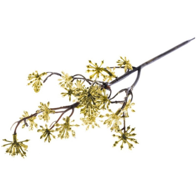 Vetvička Sedum.Gold, zlatá, 14×30 cm, bal. 3 ks