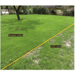 Zatrávňovacia geotextília GrassTex Cotton 2,1 x 50 m