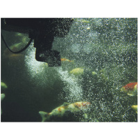 Zberač nečistôt Oase SwimSkim 50 CWS