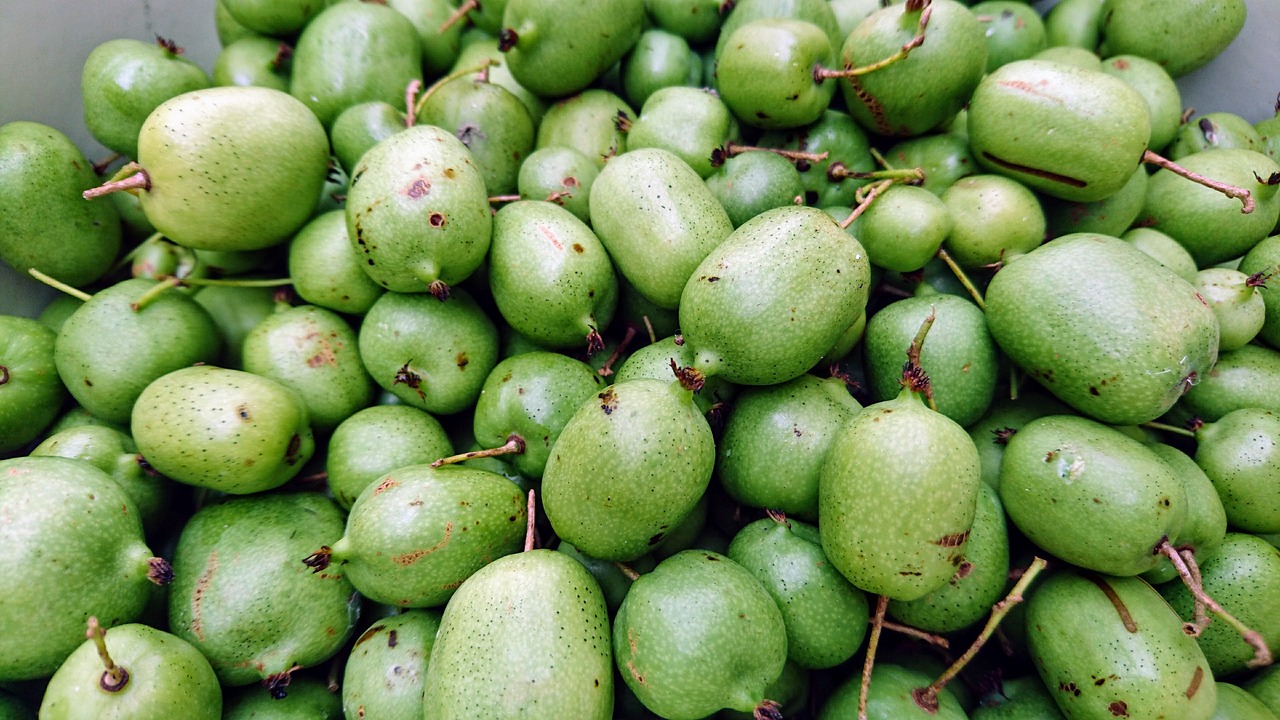 Actinidia - PURPURNA SADOWA
