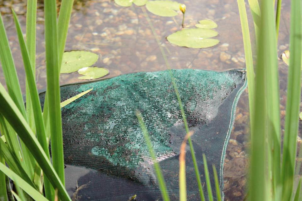 AquaHumin 10l