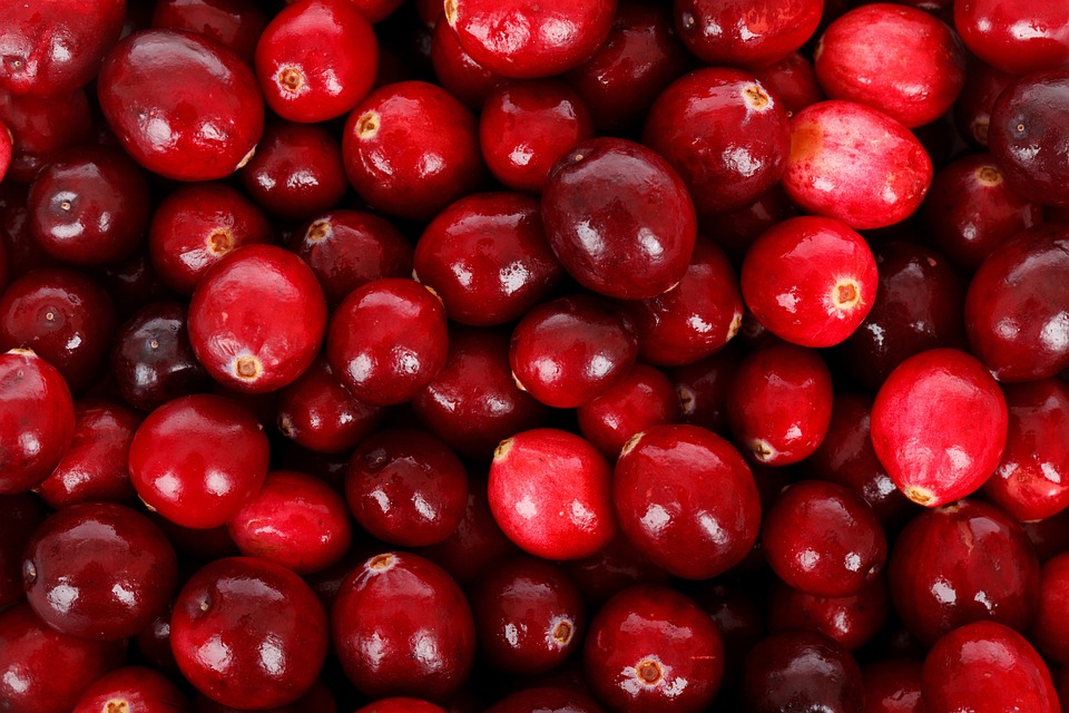 Brusnica RED PEARL