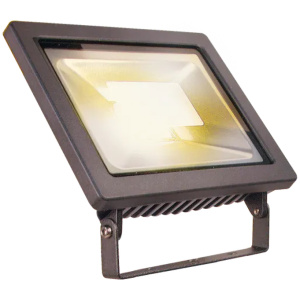 LED svetlo Reflektor Flood 12, 12 W