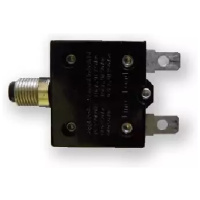 Relé termické 250V 10A