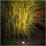 LED svetlo Umbra, 2,6W